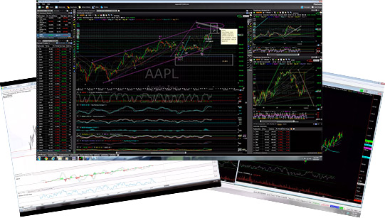 Live options trading room